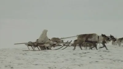 Стать мужчиной в Сибири / Becoming a Man in Siberia (2008) BDRip 720p