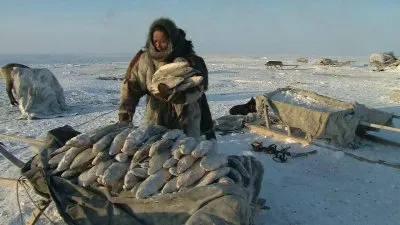 Стать мужчиной в Сибири / Becoming a Man in Siberia (2008) BDRip 720p