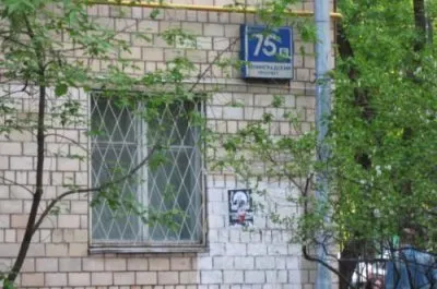 Листовки РНЕ на улицах Москвы