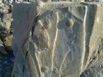 В Анапе найден древнейший, подводный город