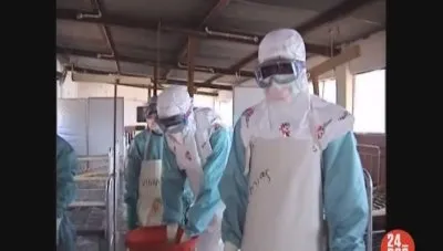 Время вирусов / The Era Of Viruses (2006) SATRip