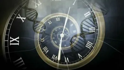 ВВС: Становление Человека / ВВС: Becoming Human (2011) DVDRip