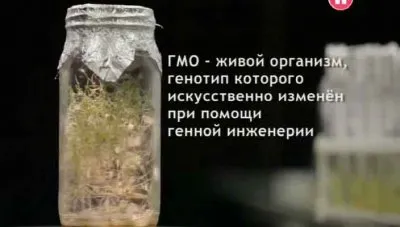Наука 2.0. Пища Франкенштейна или идеальная еда будущего (2012) SATRip
