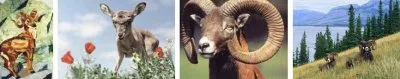 Русское мышление в свете философско-ведического мировоззрения