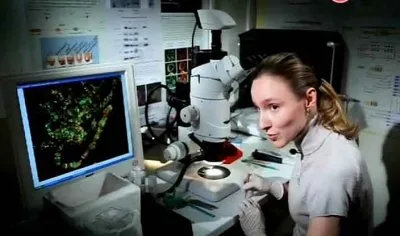 Наука 2.0. Большой cкачок. Великие мухи науки (2012) SATRip