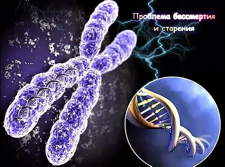 Проблема бессмертия и старения [Наука]