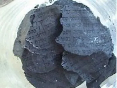 ФЕОР прикрыла антисемита, демонстративно сжегшего Тору