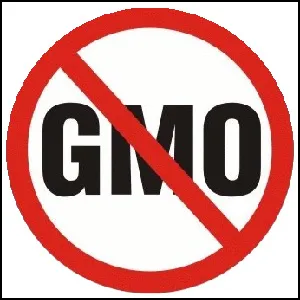 Пикет против ГМО в Кинешме