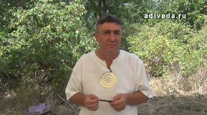 Гомонов Ю.В. Велесова книга 2012, лекция, DVDRip