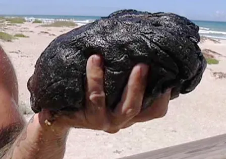 Метастазы Мексиканского залива. Часть 13-2