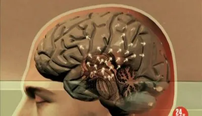 Допинг для мозга / Brain doping (2011) SATRip