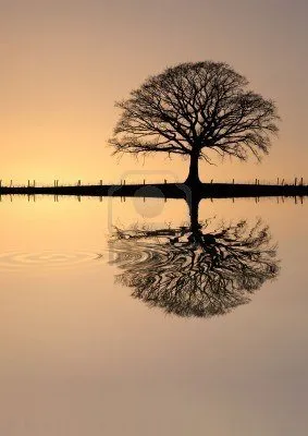 Велесовы Тропы