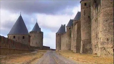 Замок Каркассонн / Cite de Carcassonne (2008) DVDRip