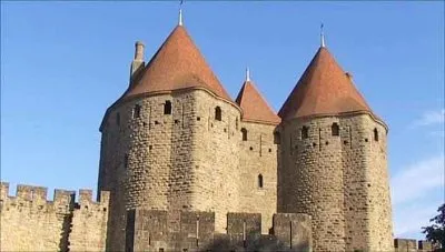 Замок Каркассонн / Cite de Carcassonne (2008) DVDRip