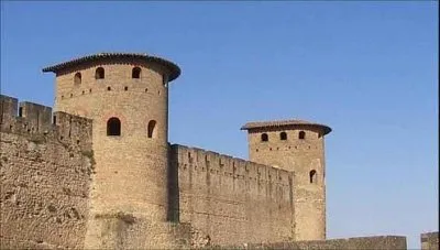 Замок Каркассонн / Cite de Carcassonne (2008) DVDRip