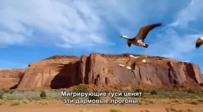 Мир с высоты птичьего полета. Северная Америка / Earthflight. North America (2011) HDRip