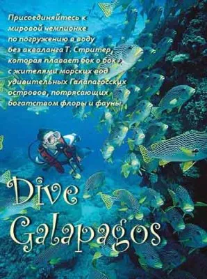 BBC: Подводный мир Галапагосов / ВВС: Dive Galapagos (2008) SATRip