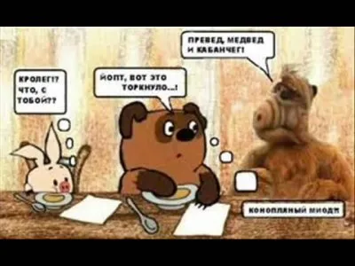 Запрещённая экстремистская песня "На медведя я пойду"