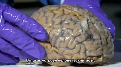 ВВС: Неподдающееся контролю / BBC: Horizon. Out of Control (2012) SATRip