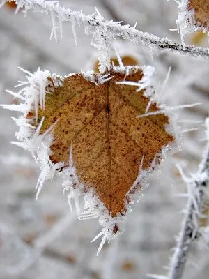 Осень 2012 или с чего начнется конец режима
