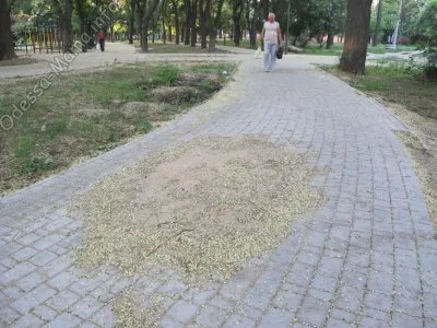 Загадка сквера Космонавтов