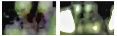 Видео с турецким НЛО признали подлинным