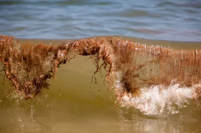 Метастазы Мексиканского залива. Часть 13-1