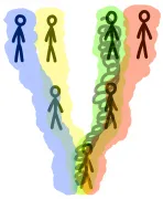 Эгрегоры, Род, расстановки