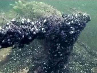 В Чёрном море найден корабль, которому 1300 лет