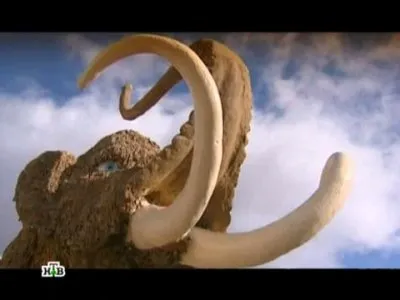 Якутия. Живые мамонты?