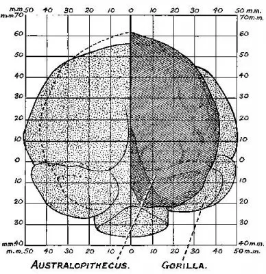 МЫ ТЕРЯЕМ МОЗГ: ВЫЖИВАЕТ ГЛУПЕЙШИЙ