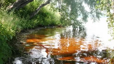 Заклание Крымска. Потрава водоемов. Манипуляции с человечиной