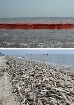 Заклание Крымска. Потрава водоемов. Манипуляции с человечиной