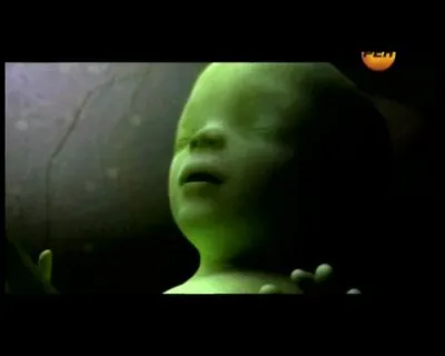 Рабы пришельцев