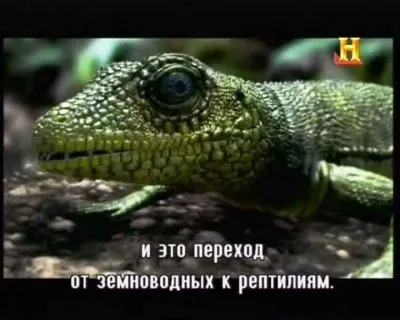 История мира за два часа / History of the World in Two Hours (2011) SATRip