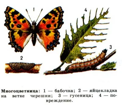 «Нет плохих народов, есть плохие люди ….»