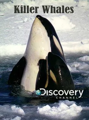 Добыча - человек. Киты-убийцы / Killer Whales (2010) SATRip