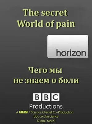 BBC. Чего мы не знаем о боли / ВВС. The secret World of pain (2011) SATRip
