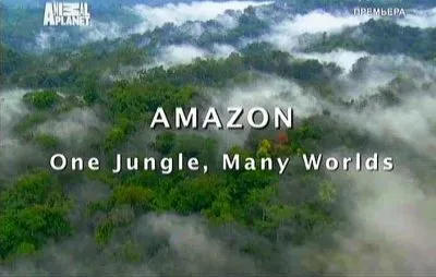 Animal Planet: В дебрях Латинской Америки / Wildest Latin America (2012) SATRip