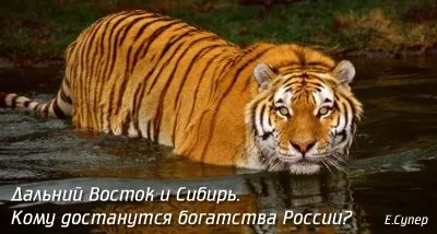 Дальний Восток и Сибирь: Кому достанутся богатства России?