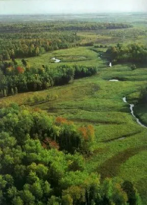 Деревня целителей