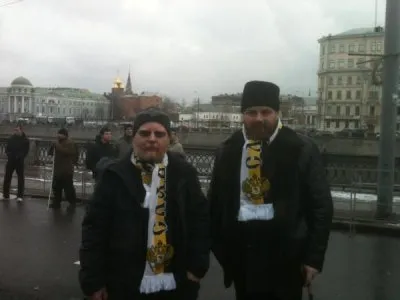 Тень на плетень