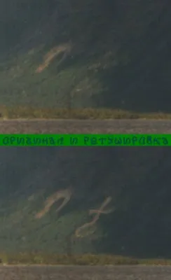 Шамбала НАЙДЕНА, чудотворные врата  Эдема засняты на видео.