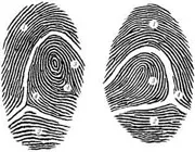 Тайны папиллярных линий