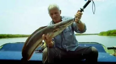 Речные монстры. Хищная стая / River monsters. Pack of Teath (2012) SATRip