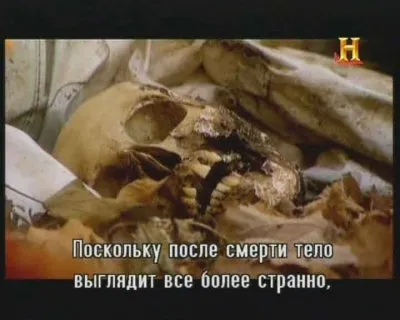 Зомби: Живая история / Zombies: A Living History (2011) SATRip, sub
