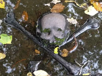 Дебилизация даёт первые плоды