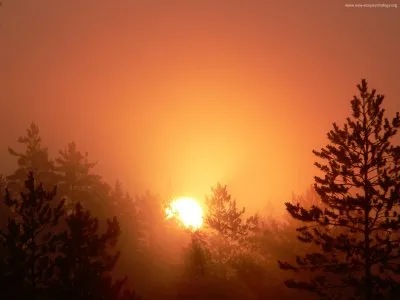 Духовная Революция