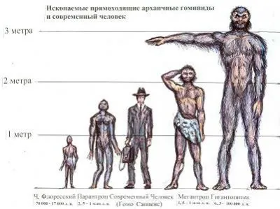 Исчезнувшие великаны Америки