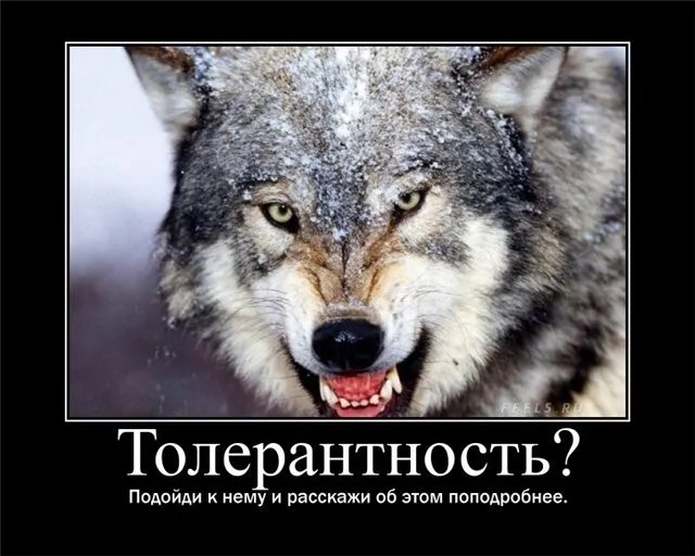 uploads/posts/2012-10/1351568325_1714.webp